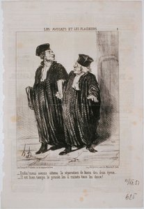 De Advocaten en de Pleiters - Eindelijk! We hebben de scheiding van goederen verkregen