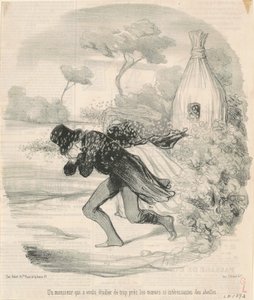 Een heer die de gewoonten van bijen wilde bestuderen door Honoré Daumier