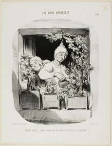 Een modelhuwelijk: Thirty Years They Have Cultivated Virtue and Carnations, plaat zes uit Les Bons Bourgeois