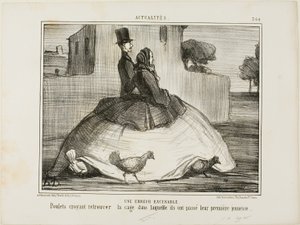 Een verschoonbare fout. Kippen die denken dat ze de kooi hebben gevonden waar ze hun vroege jeugd hebben doorgebracht, plaat 21 uit La Crinolomanie door Honoré Victorin Daumier