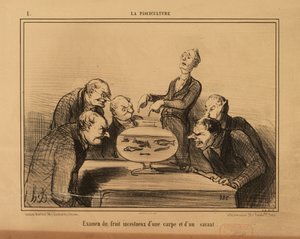 De visteelt nr. 1: Onderzoek van de incestueuze vrucht van een karper en een geleerde.