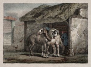 Boerenpaard door Emile Jean Horace Vernet