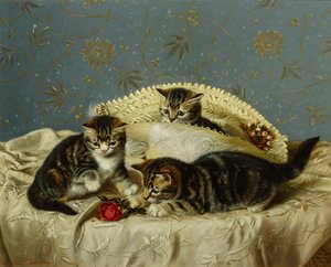 Kittens in de Streken