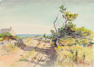 Zonder titel door Howard Russell Butler