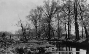 Lente, 1885-86