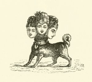 Vrouwelijke Cerberus