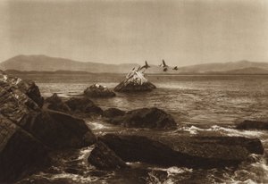 Mexico: kust van Manzanillo, Pelicanos, staat Colima (zwart-wit foto) door Hugo Brehme