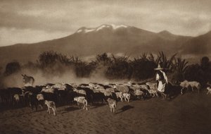 Mexico: De omgeving van Amecameca (z/w foto) door Hugo Brehme
