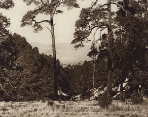 Mexico: Wild panorama aan de voet van Pico de Orizaba (z/w foto) door Hugo Brehme