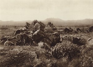 Mexico: Pedregal, Corriente de basalto-lava bij San Angel (z/w foto) door Hugo Brehme