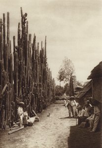 Mexico: Santiago, karakteristieke dorpsstraat met cactussen in de vorm van zuilen (z/w foto) door Hugo Brehme