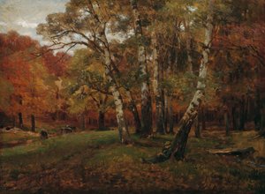 Landschap met berken door Hugo Darnaut