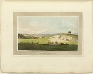 Observaties over de theorie en praktijk van landschapsarchitectuur