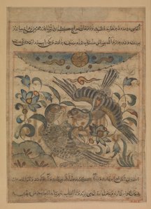 Paar Adelaars, Folio uit een Manafi