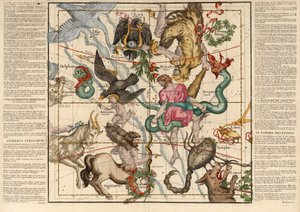 Winterzonnewende, Plaat 5 uit Globi coelestis in tabulas planas redacti descriptio, uitgegeven 1674 (handgekleurde gravure)