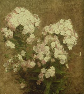 Phlox, 1870 door Ignace Henri Jean Fantin Latour