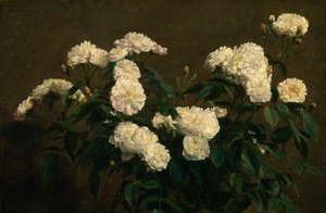 Stilleven van Witte Rozen