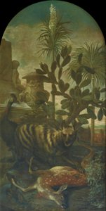 Hyena, antilope en kasuaris in een cactuslandschap