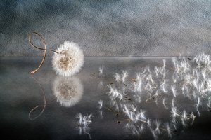  door Igor Kopcev