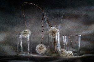  door Igor Kopcev