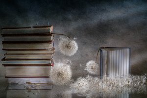  door Igor Kopcev