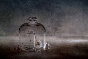  door Igor Kopcev