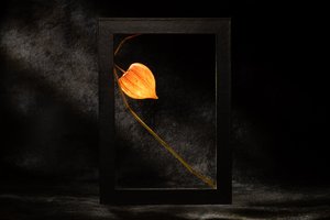 door Igor Kopcev