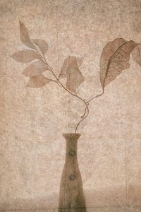 Delicate Sepia Botanicals door Igor Tokarev