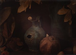  door Igor Tokarev