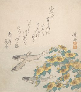 Vissen zwemmen met gele bloemen, ca. 1830 door Ikeda Eisen