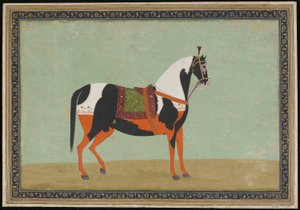 Een Paard, Albumblad, 19e eeuw