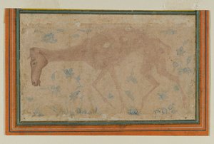 Een Uitgemergeld Paard, uit Mughal of Deccan door Indian School