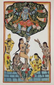 Krishna en 5 godinnen door Indian School