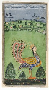 Mythische pauw met een vrouwenhoofd, Hyderabad, ca. 1750 door Indian School