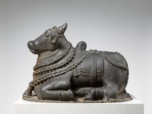 Nandi door Indian School