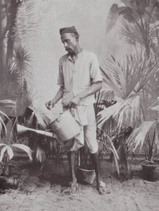Bombay / Mumbai: Tuinman (z/w foto) door Indian photographer