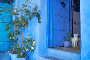 Een straatbeeld in Chefchaouen, de blauwe stad van Marokko