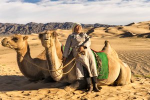 Een vrouw die rust met kamelen in de Zuid-Gobi woestijn, Mongolië door Ira Block