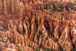 Hoodoos - torenspitsen gecreëerd door erosie - in Bryce Canyon National Park in Utah, 2019