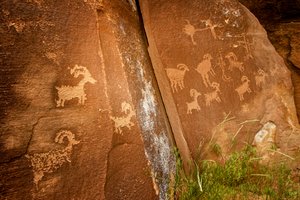 Panelen van schapen nabij de Sandhill Crane-petroglyfsite in Nine Mile Canyon.