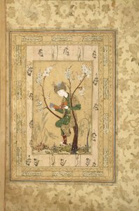 Jongere zittend in de vork van een bloeiende boom, 1560s door Iranian Master