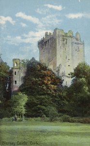 Blarney Kasteel, Cork door Irish Photographer