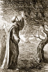 St. Columba verandert bittere vruchten in zoete, uit The Trias Thaumaturga, of Three Wonder-Working Saints of Ireland, door Mary Cusack, gepubliceerd ca. 1890s