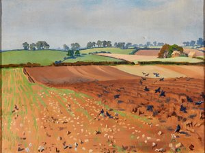 Geploegd Veld door Isabel Codrington