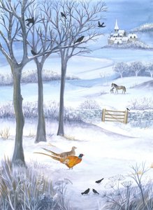 Schoonheid van een winterlandschap