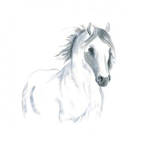 Studie van een paard in beweging