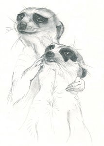 Tekening van stokstaartjes