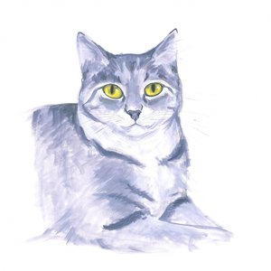 Oplettende kat