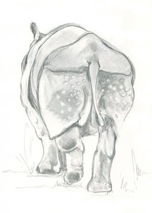 Zachte tred van een neushoorn