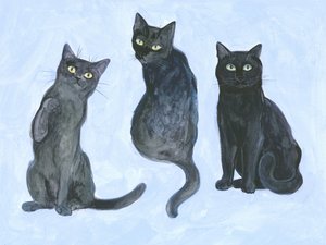 Studie van drie katten
